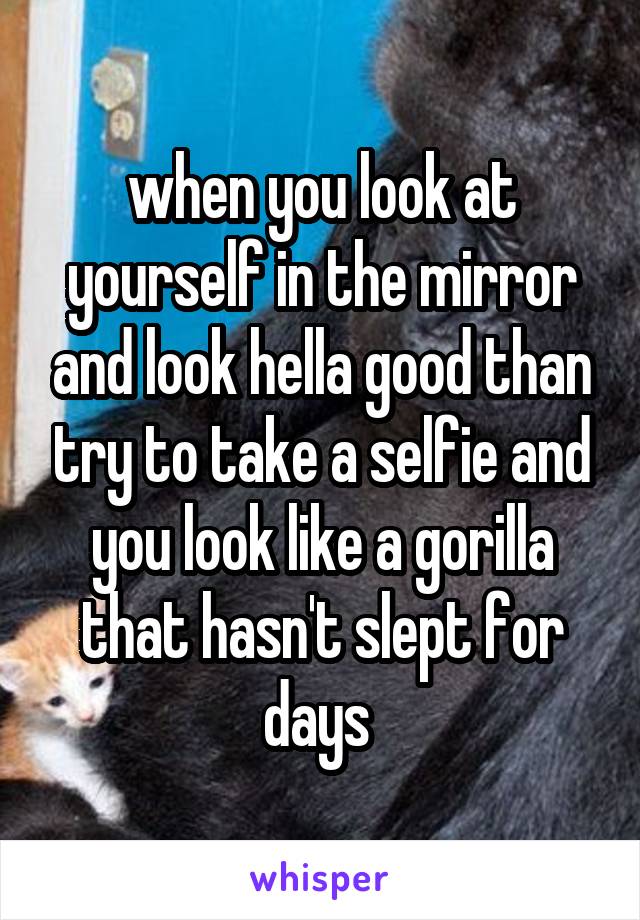 when you look at yourself in the mirror and look hella good than try to take a selfie and you look like a gorilla that hasn't slept for days 