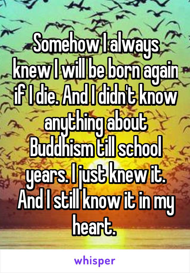 Somehow I always knew I will be born again if I die. And I didn't know anything about Buddhism till school years. I just knew it. And I still know it in my heart. 