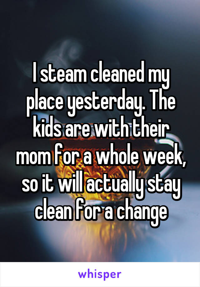 I steam cleaned my place yesterday. The kids are with their mom for a whole week, so it will actually stay clean for a change