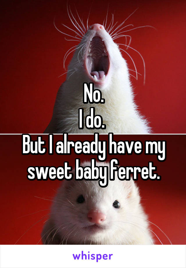 No.
I do. 
But I already have my sweet baby ferret.