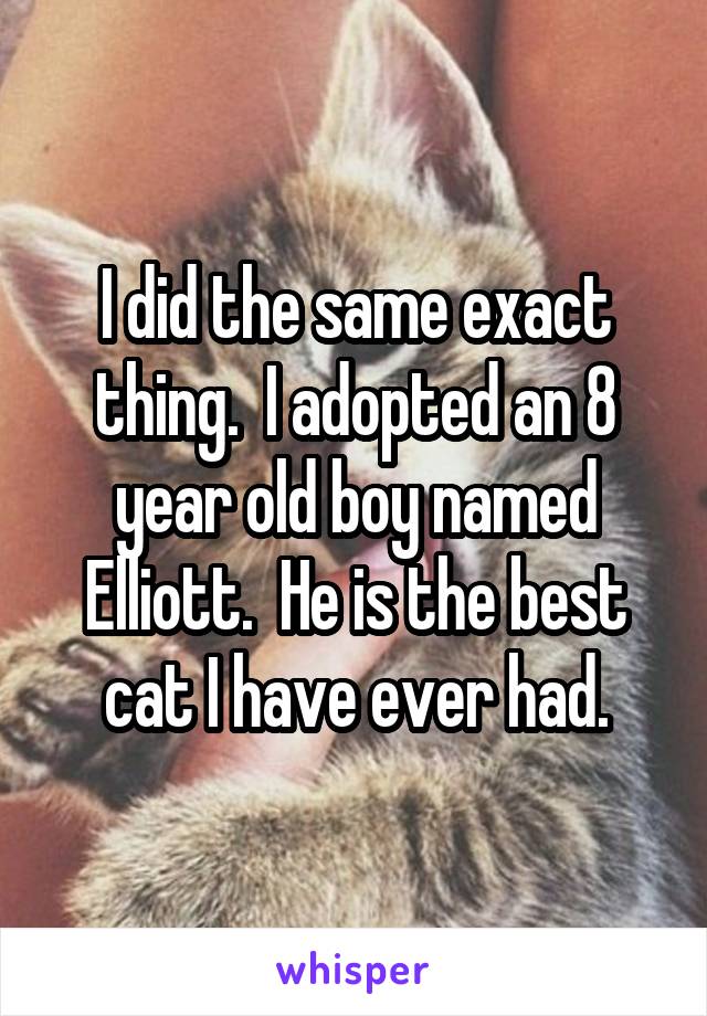 I did the same exact thing.  I adopted an 8 year old boy named Elliott.  He is the best cat I have ever had.