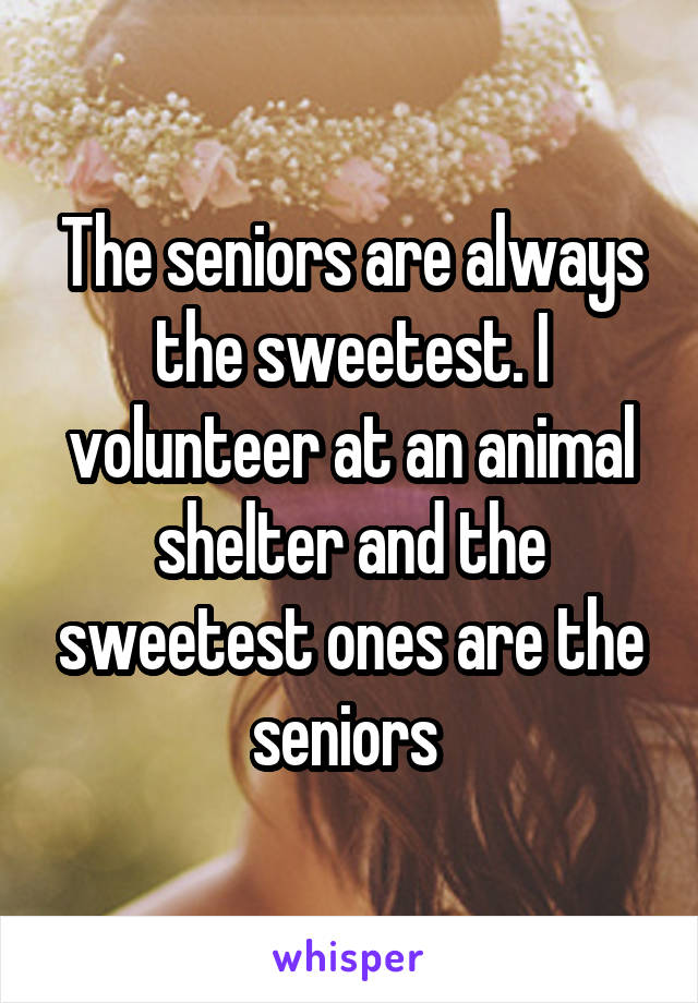 The seniors are always the sweetest. I volunteer at an animal shelter and the sweetest ones are the seniors 