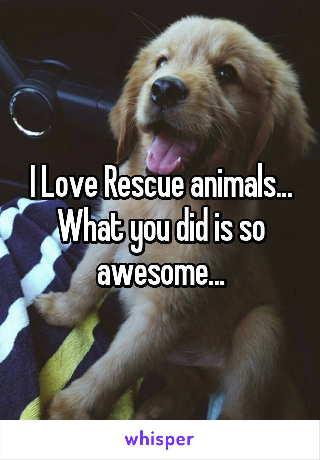 I Love Rescue animals... What you did is so awesome...