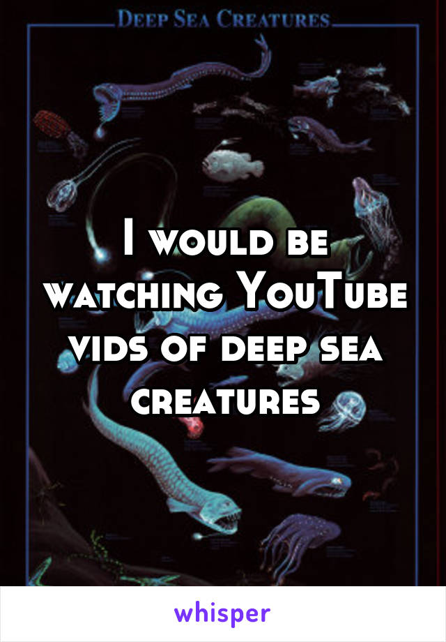 I would be watching YouTube vids of deep sea creatures