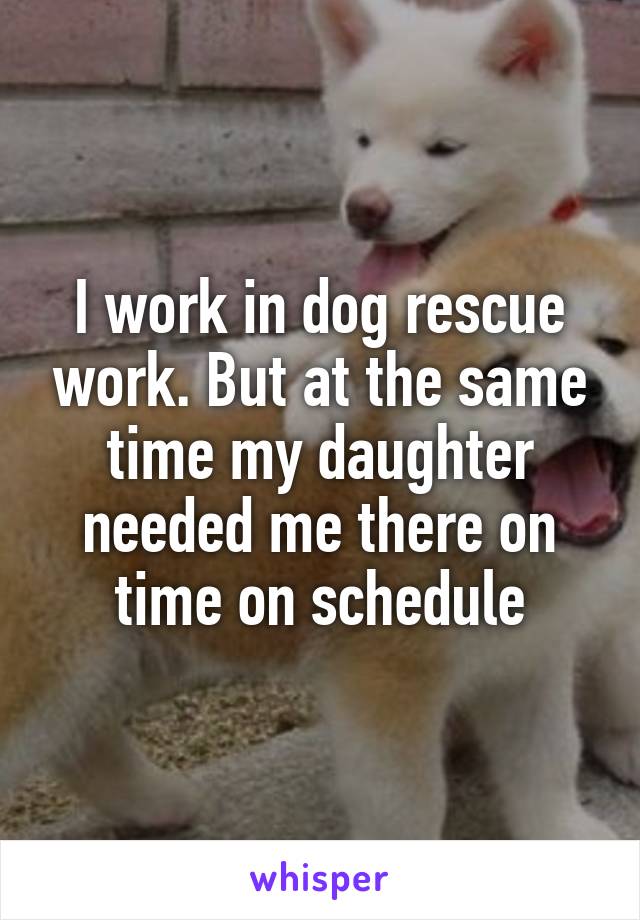 I work in dog rescue work. But at the same time my daughter needed me there on time on schedule