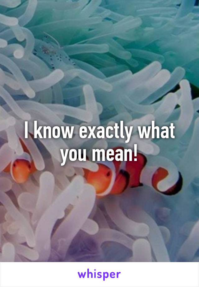 I know exactly what you mean!