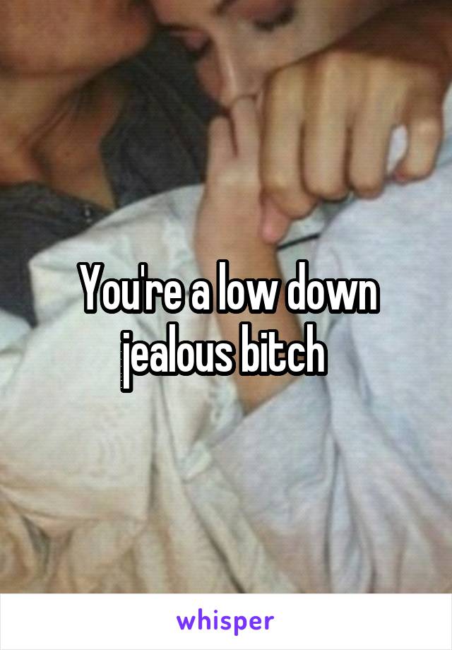 You're a low down jealous bitch 