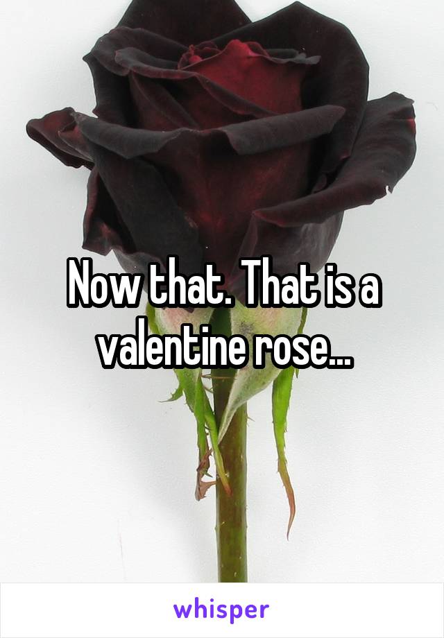 Now that. That is a valentine rose...