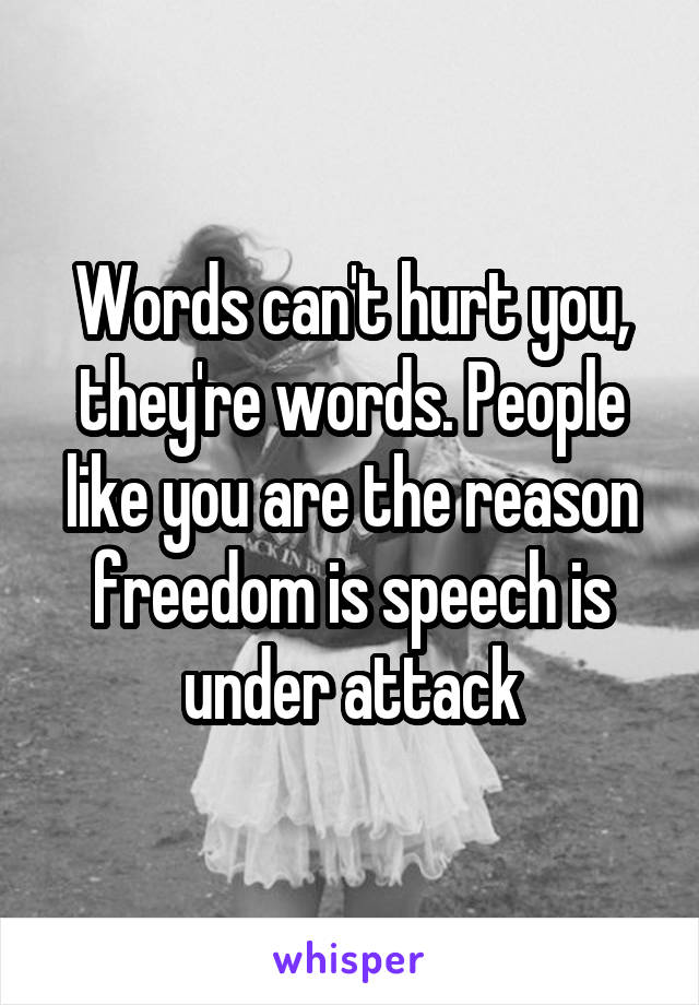 Words can't hurt you, they're words. People like you are the reason freedom is speech is under attack