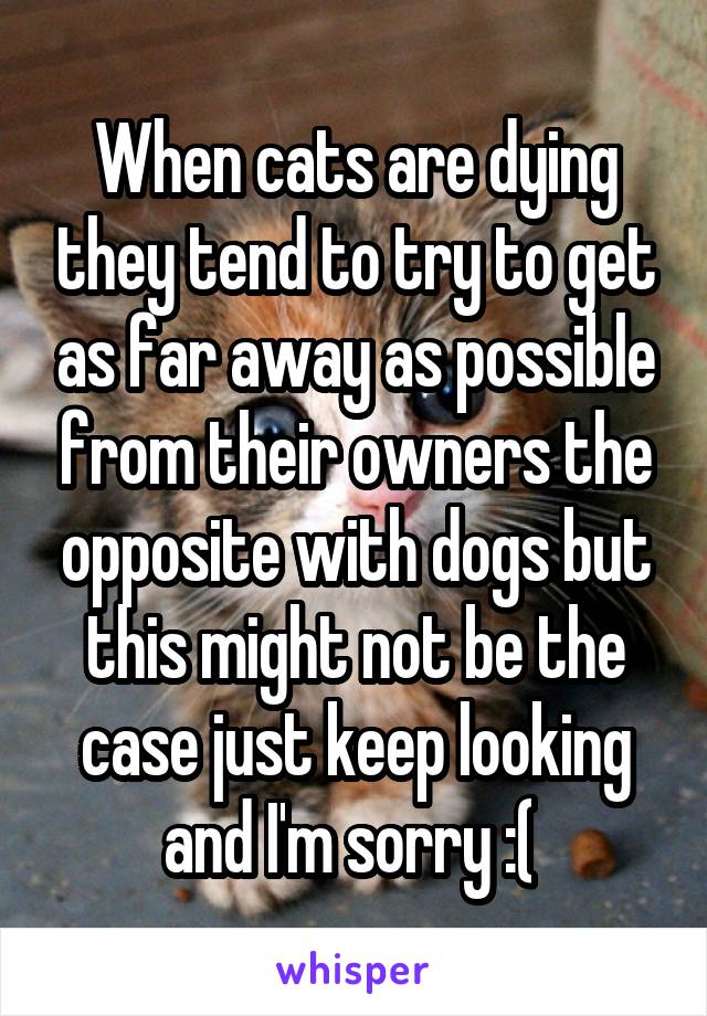 When cats are dying they tend to try to get as far away as possible from their owners the opposite with dogs but this might not be the case just keep looking and I'm sorry :( 