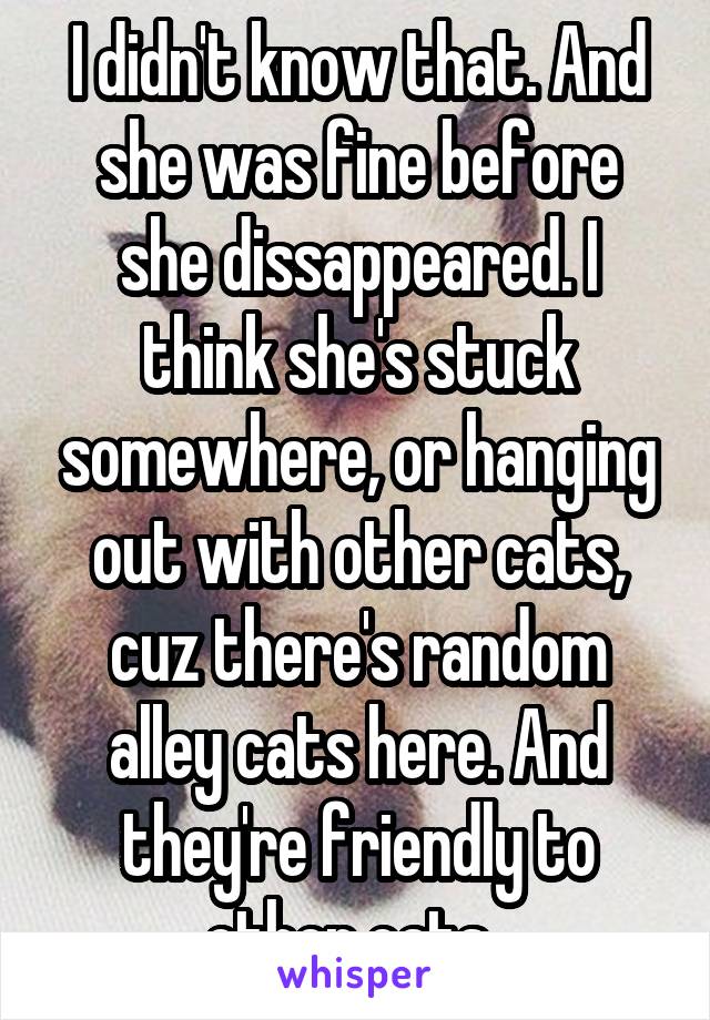 I didn't know that. And she was fine before she dissappeared. I think she's stuck somewhere, or hanging out with other cats, cuz there's random alley cats here. And they're friendly to other cats. 