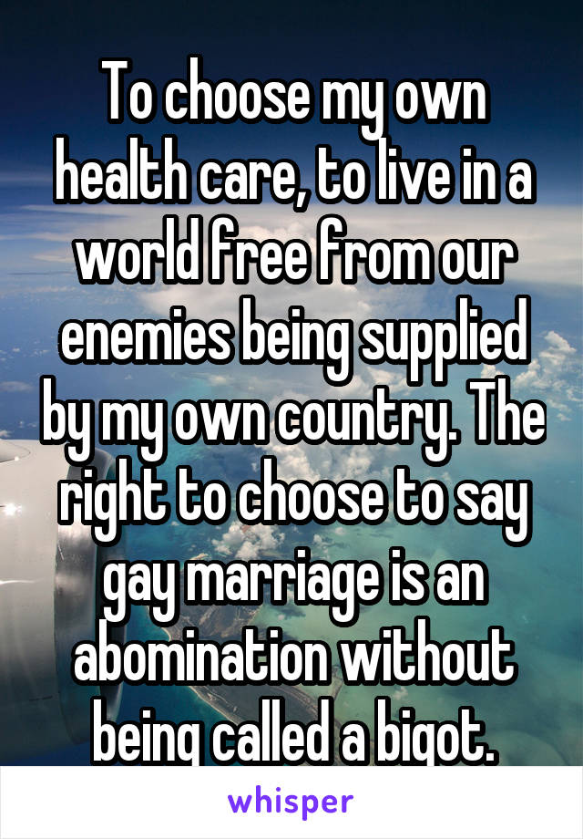 To choose my own health care, to live in a world free from our enemies being supplied by my own country. The right to choose to say gay marriage is an abomination without being called a bigot.