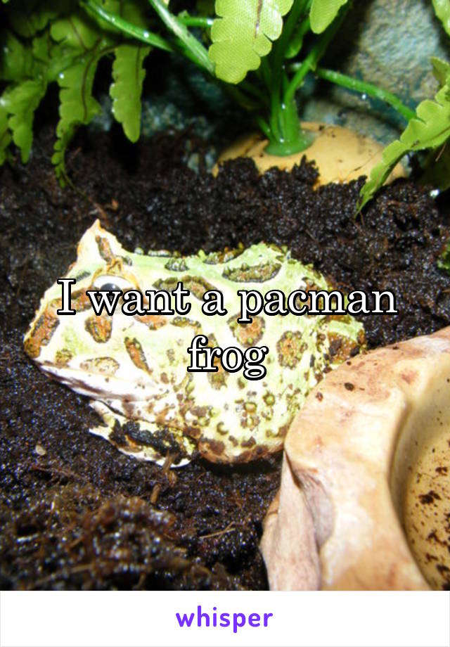 I want a pacman frog