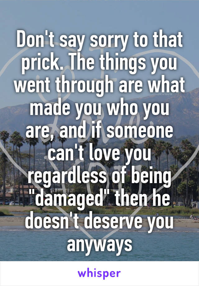 Don't say sorry to that prick. The things you went through are what made you who you are, and if someone can't love you regardless of being "damaged" then he doesn't deserve you anyways