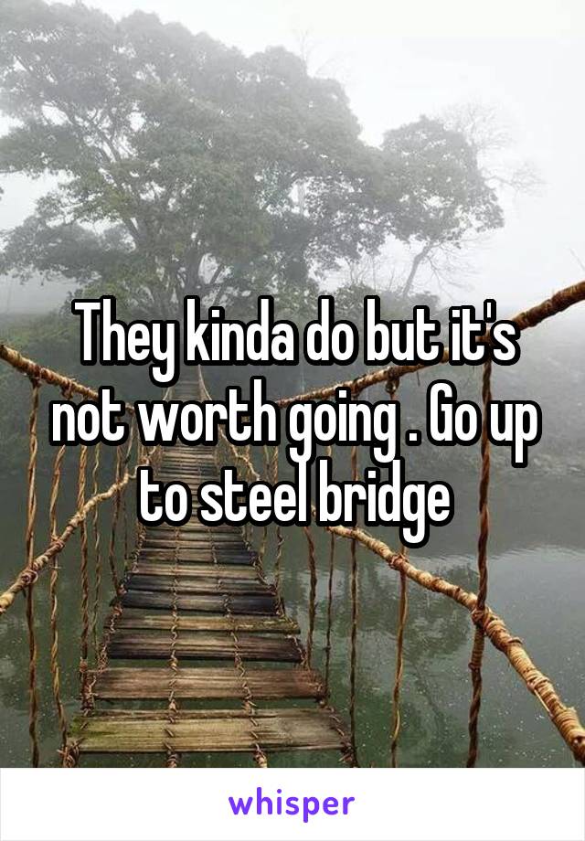 They kinda do but it's not worth going . Go up to steel bridge