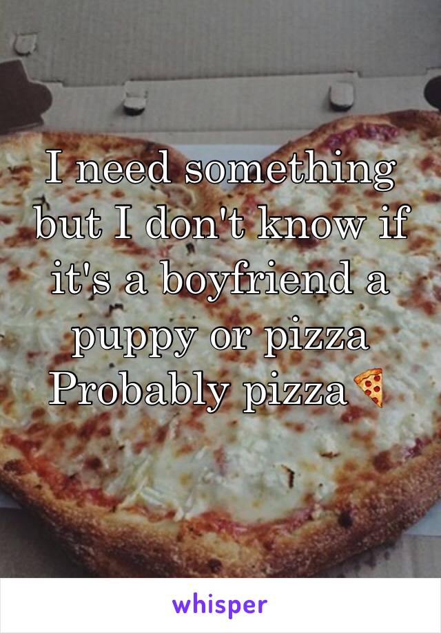 I need something but I don't know if it's a boyfriend a puppy or pizza
Probably pizza🍕 

