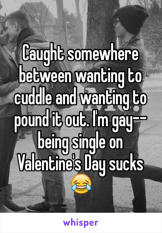 Caught somewhere between wanting to cuddle and wanting to pound it out. I'm gay--being single on Valentine's Day sucks ðŸ˜‚
