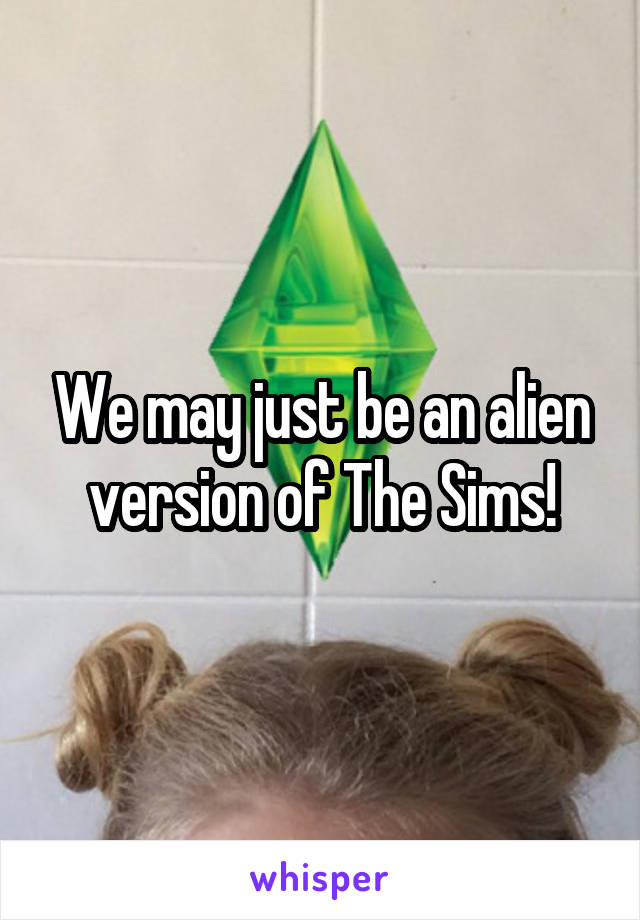We may just be an alien version of The Sims!