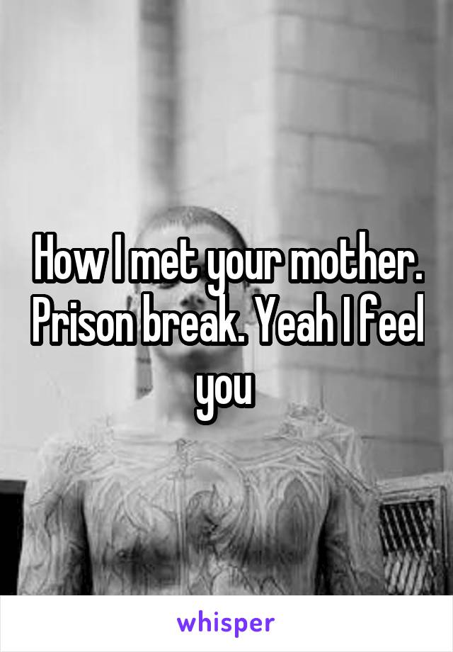 How I met your mother. Prison break. Yeah I feel you 