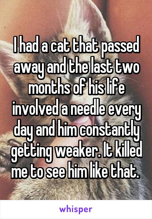 I had a cat that passed away and the last two months of his life involved a needle every day and him constantly getting weaker. It killed me to see him like that. 