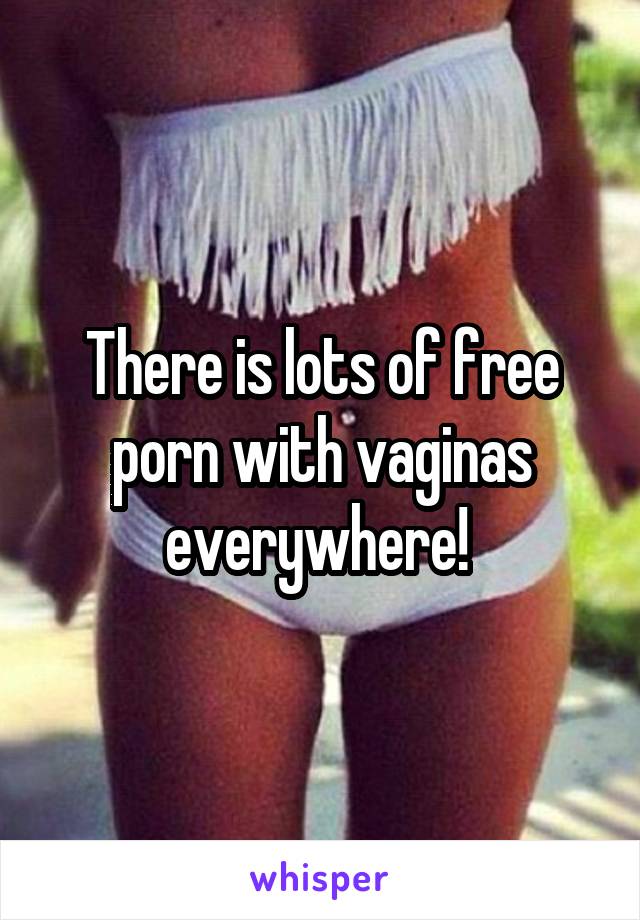 There is lots of free porn with vaginas everywhere! 