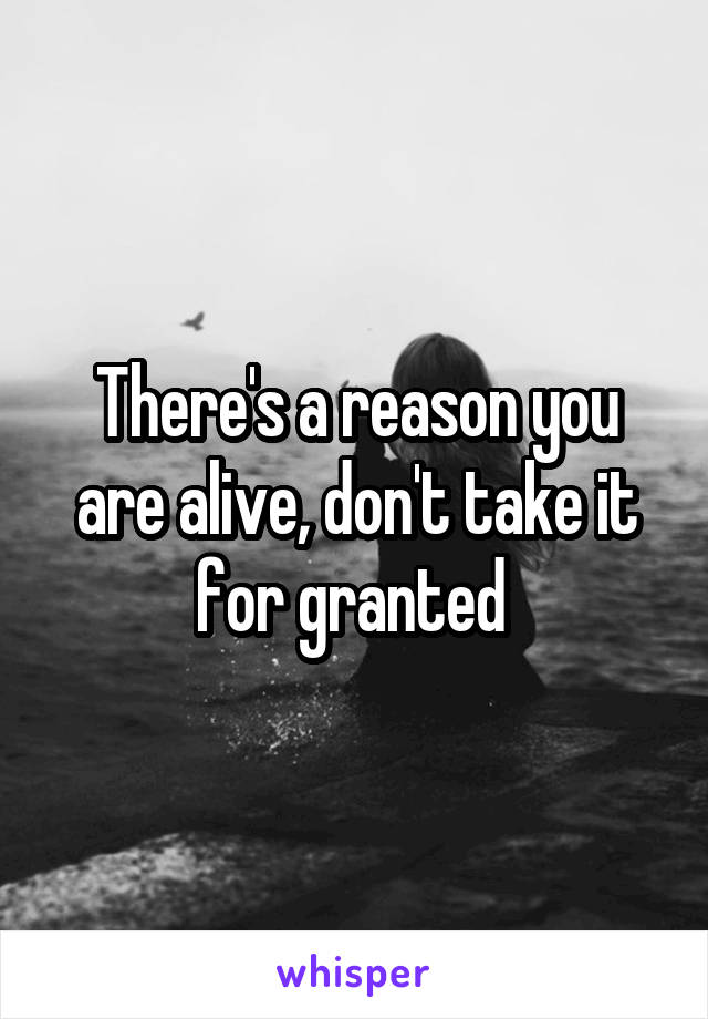 There's a reason you are alive, don't take it for granted 