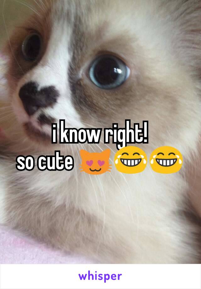 i know right!
so cute 😻😂😂