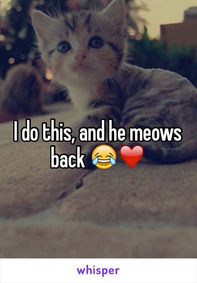 I do this, and he meows back 😂❤️