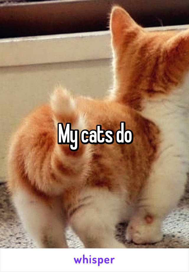 My cats do