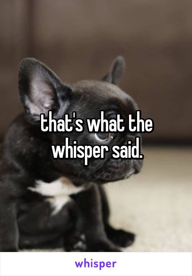 that's what the whisper said.