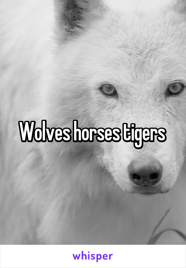Wolves horses tigers 