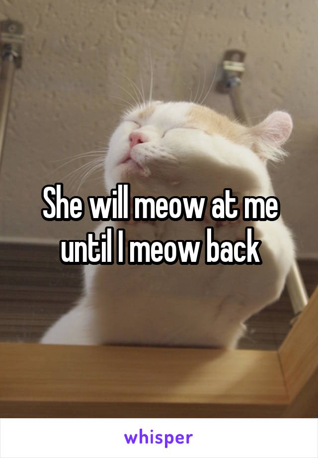 She will meow at me until I meow back