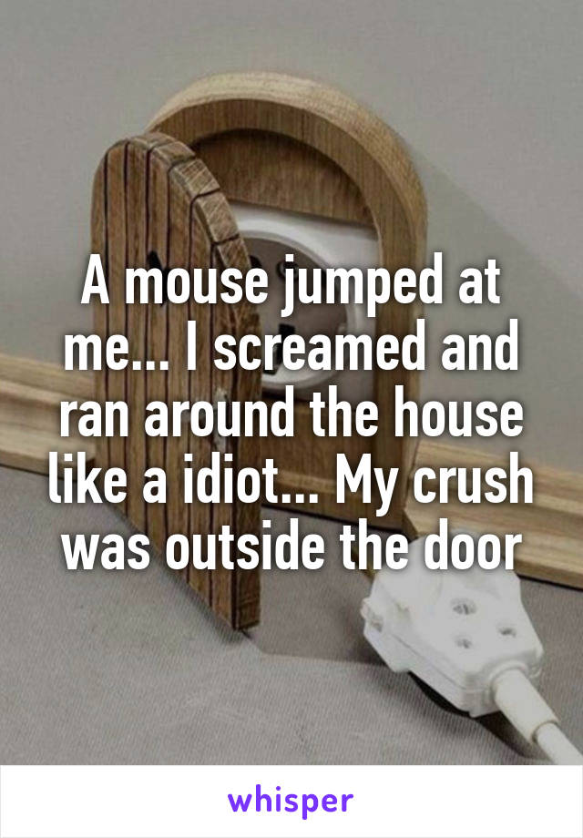 A mouse jumped at me... I screamed and ran around the house like a idiot... My crush was outside the door