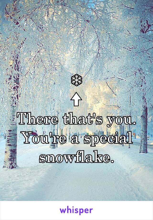 ❄
⬆
There that's you.
You're a special snowflake.