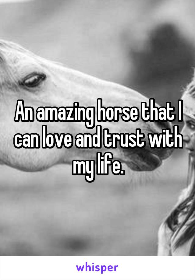 An amazing horse that I can love and trust with my life.