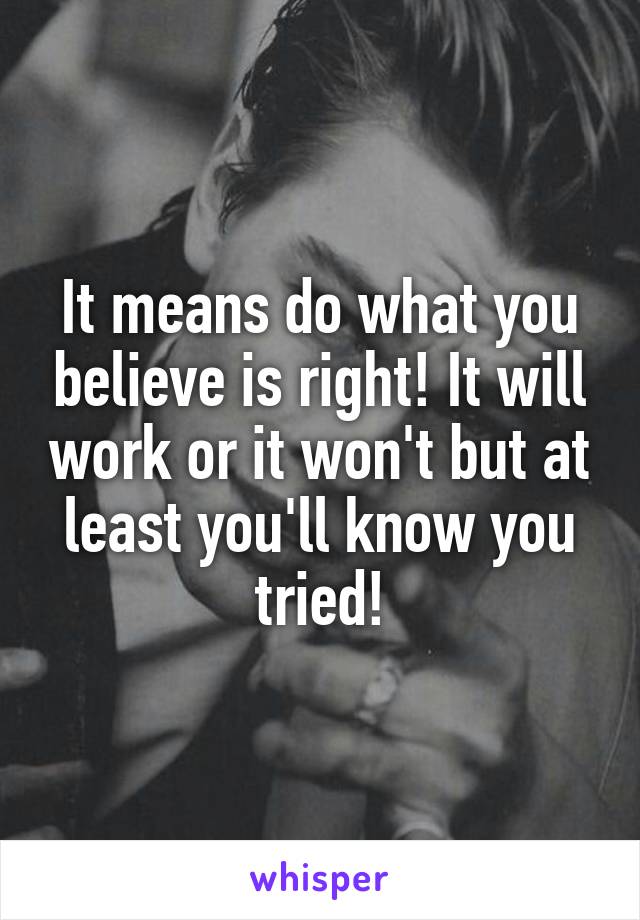It means do what you believe is right! It will work or it won't but at least you'll know you tried!