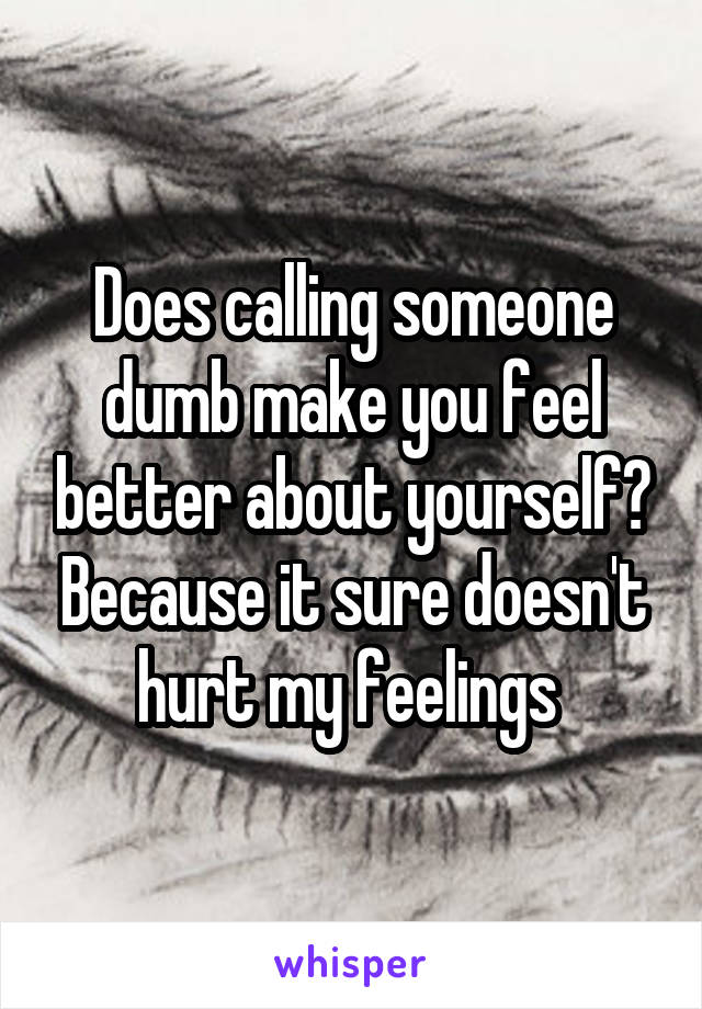 Does calling someone dumb make you feel better about yourself? Because it sure doesn't hurt my feelings 