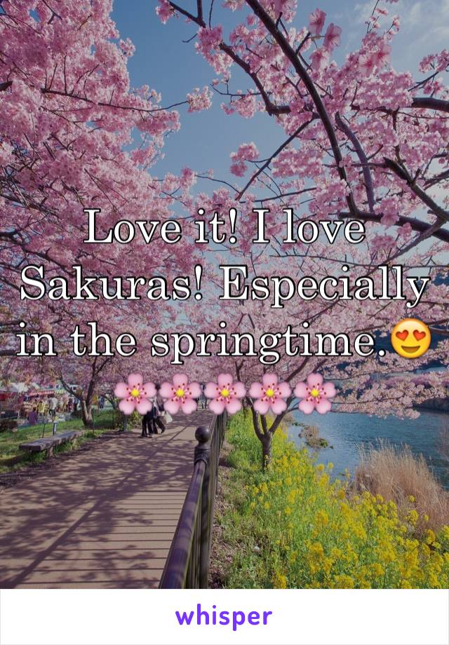 Love it! I love Sakuras! Especially in the springtime.😍
🌸🌸🌸🌸🌸