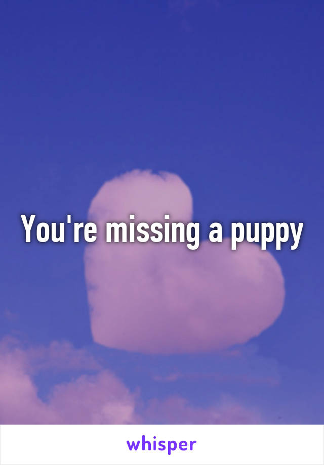You're missing a puppy