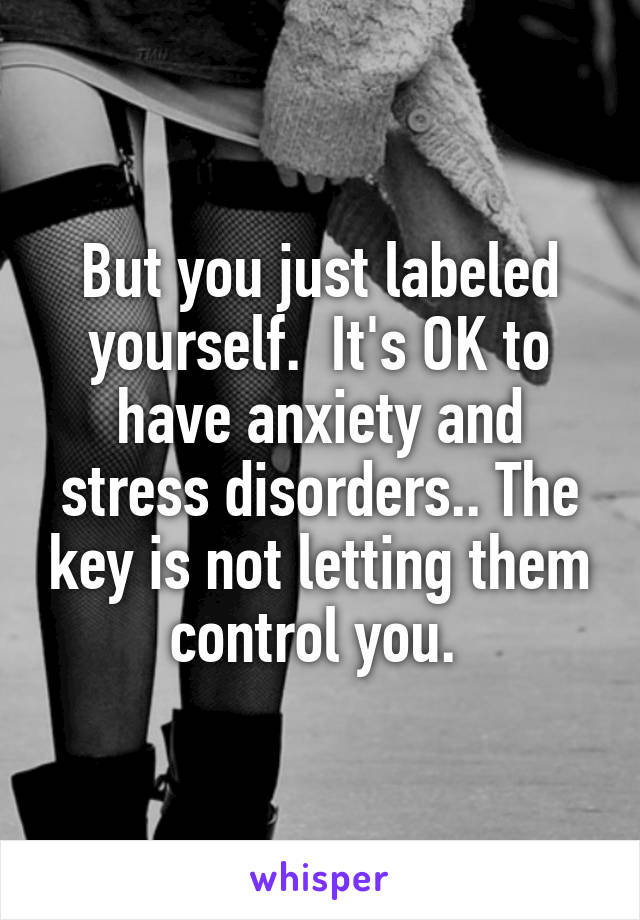 But you just labeled yourself.  It's OK to have anxiety and stress disorders.. The key is not letting them control you. 