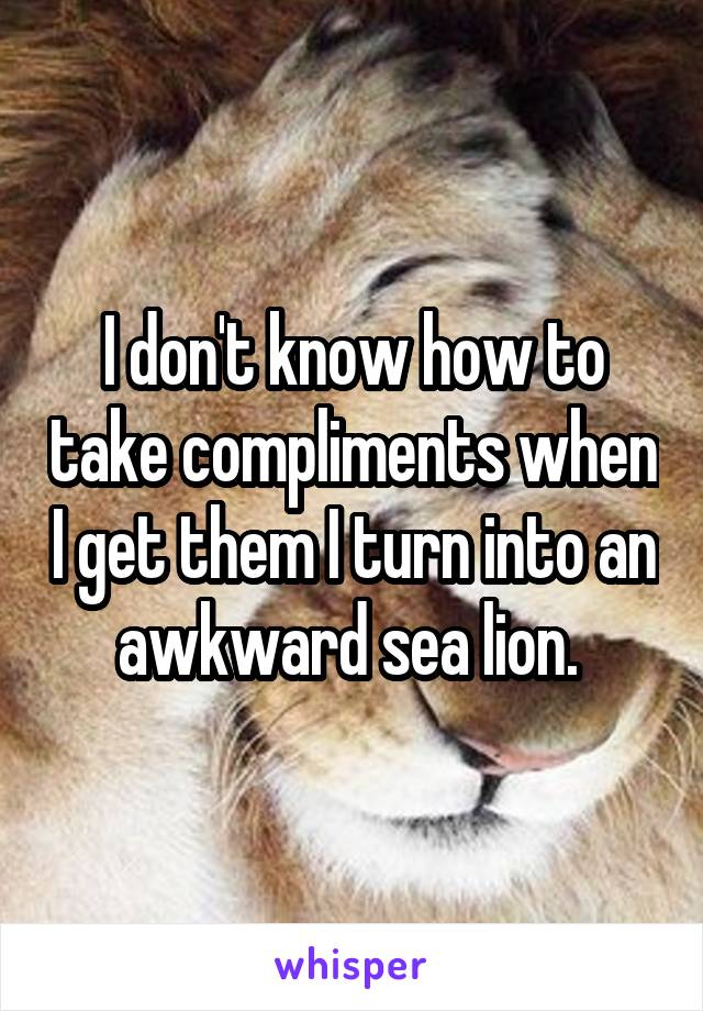 I don't know how to take compliments when I get them I turn into an awkward sea lion. 