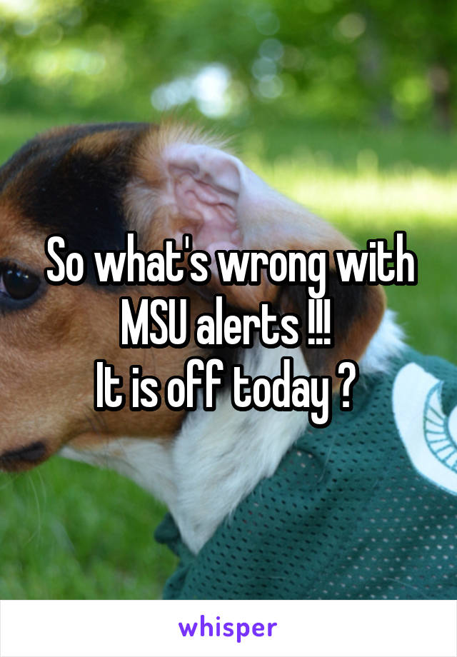 So what's wrong with MSU alerts !!! 
It is off today ? 