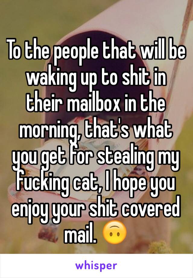 To the people that will be waking up to shit in their mailbox in the morning, that's what you get for stealing my fucking cat, I hope you enjoy your shit covered mail. 🙃