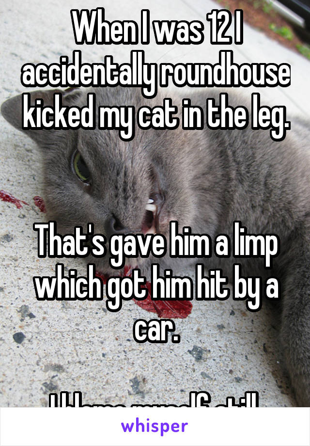 When I was 12 I accidentally roundhouse kicked my cat in the leg. 

That's gave him a limp which got him hit by a car.

I blame myself still 