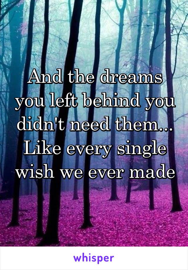 And the dreams you left behind you didn't need them... Like every single wish we ever made 