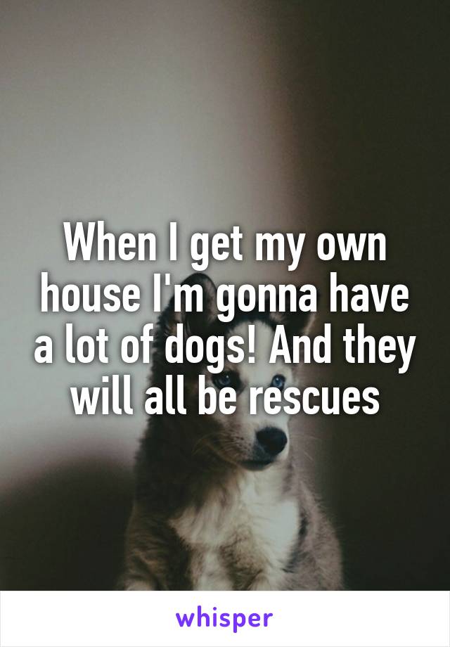 When I get my own house I'm gonna have a lot of dogs! And they will all be rescues