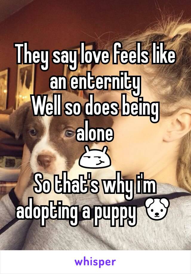 They say love feels like an enternity
Well so does being alone
😏
So that's why i'm adopting a puppy 🐶