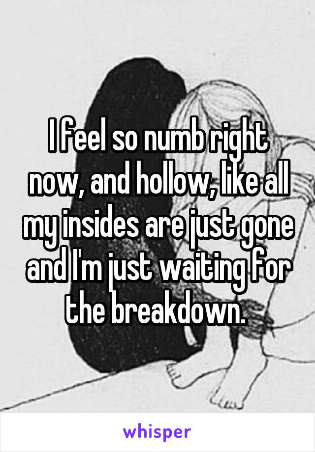 I feel so numb right now, and hollow, like all my insides are just gone and I'm just waiting for the breakdown. 