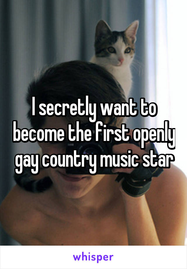 I secretly want to become the first openly gay country music star