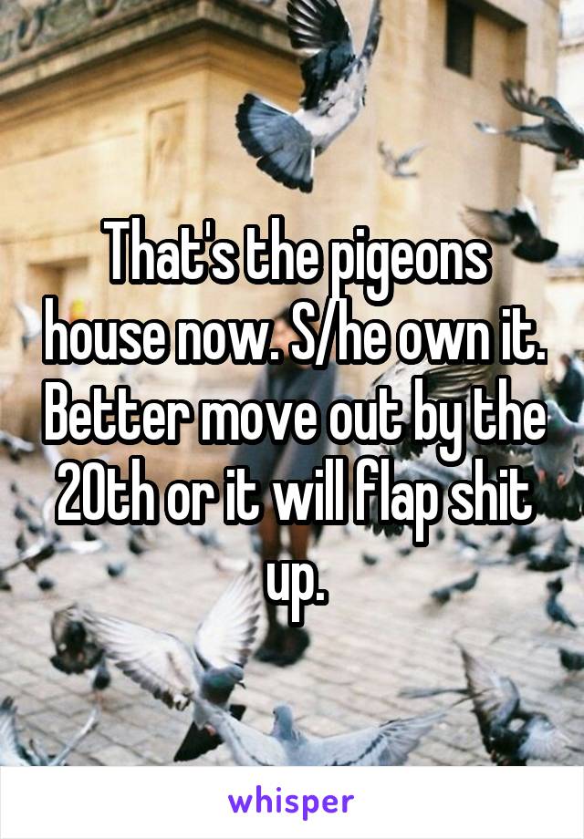 That's the pigeons house now. S/he own it. Better move out by the 20th or it will flap shit up.